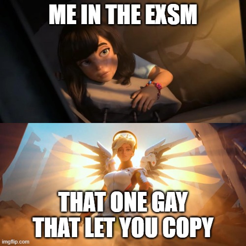 THNKS MEN | ME IN THE EXSM; THAT ONE GAY THAT LET YOU COPY | image tagged in overwatch mercy meme | made w/ Imgflip meme maker