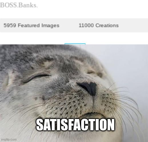 satisfaction | SATISFACTION | image tagged in memes,satisfied seal | made w/ Imgflip meme maker