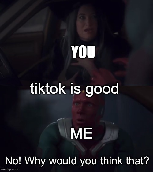 No! Why would you think that? | tiktok is good ME YOU | image tagged in no why would you think that | made w/ Imgflip meme maker