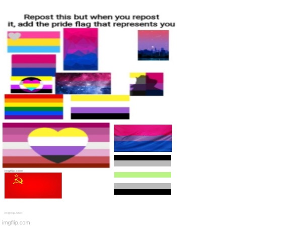 Re-post but add a flag | image tagged in lgbtq | made w/ Imgflip meme maker