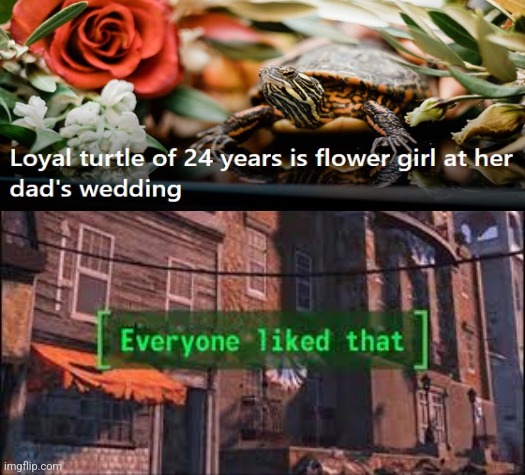 :P | image tagged in everyone liked that,turtle,wedding,cute,wholesome | made w/ Imgflip meme maker