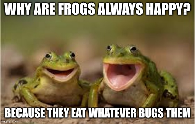 Frog Puns | WHY ARE FROGS ALWAYS HAPPY? BECAUSE THEY EAT WHATEVER BUGS THEM | image tagged in laughing frogs,bad puns | made w/ Imgflip meme maker