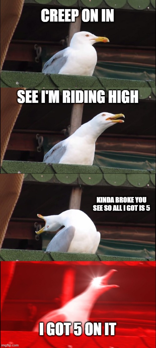 Luniz | CREEP ON IN; SEE I'M RIDING HIGH; KINDA BROKE YOU SEE SO ALL I GOT IS 5; I GOT 5 ON IT | image tagged in memes,inhaling seagull | made w/ Imgflip meme maker