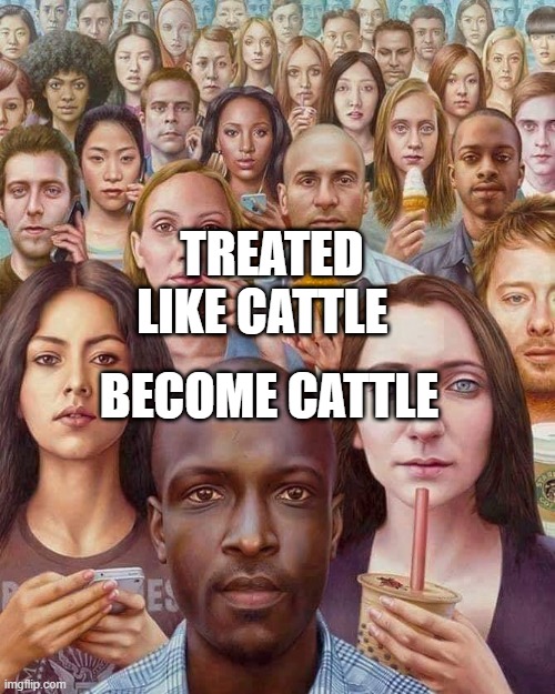 Vaccinated stare | TREATED LIKE CATTLE; BECOME CATTLE | image tagged in vaccinated stare | made w/ Imgflip meme maker