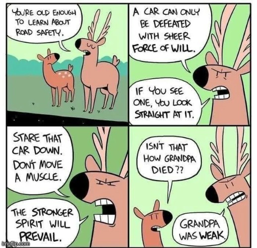 Deer comic | image tagged in comic,deers | made w/ Imgflip meme maker