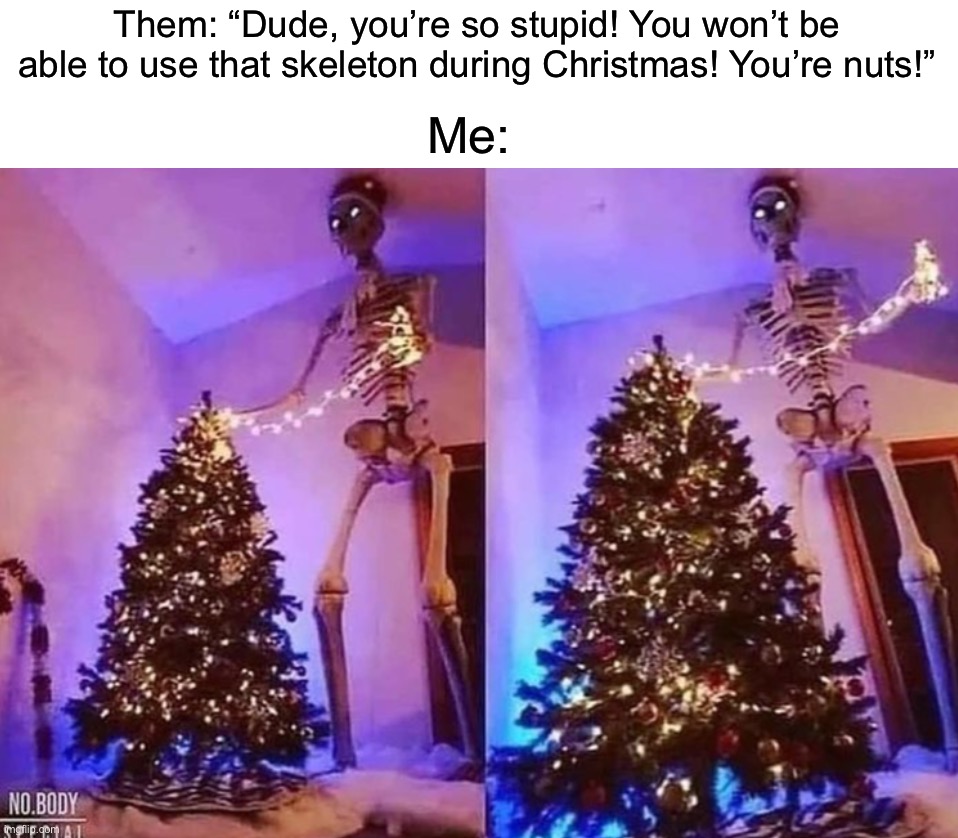 I am smort | Them: “Dude, you’re so stupid! You won’t be able to use that skeleton during Christmas! You’re nuts!”; Me: | image tagged in memes,funny,christmas,skeleton,funny memes,woah | made w/ Imgflip meme maker