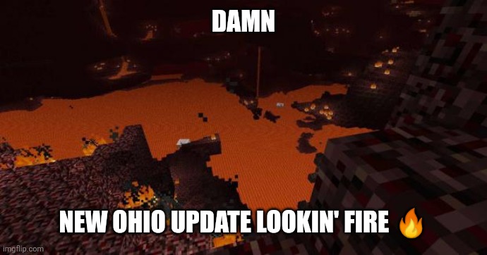 Idk | DAMN; NEW OHIO UPDATE LOOKIN' FIRE 🔥 | image tagged in pie charts | made w/ Imgflip meme maker