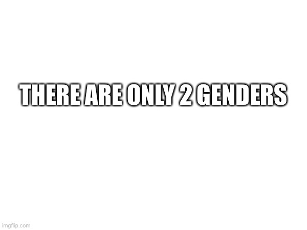 Triggering LGBTQ+ In 1 sec | THERE ARE ONLY 2 GENDERS | image tagged in imgflip | made w/ Imgflip meme maker