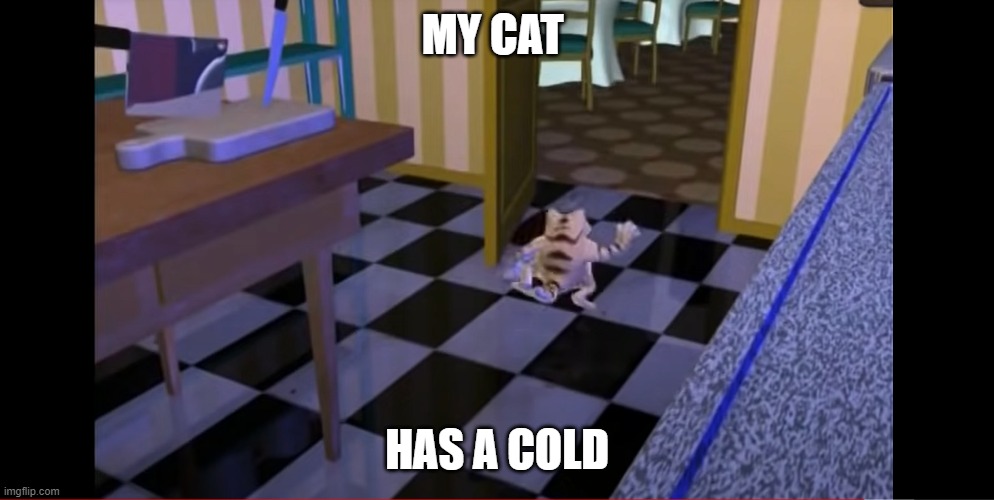 cats in ohio | MY CAT; HAS A COLD | image tagged in ohio | made w/ Imgflip meme maker