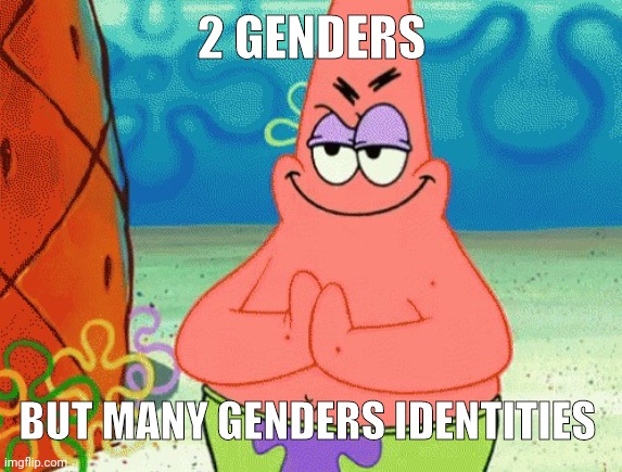 patrick evil plan | 2 GENDERS BUT MANY GENDERS IDENTITIES | image tagged in patrick evil plan | made w/ Imgflip meme maker