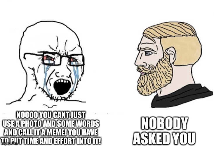 Soyboy Vs Yes Chad | NOBODY ASKED YOU; NOOOO YOU CANT JUST USE A PHOTO AND SOME WORDS AND CALL IT A MEME! YOU HAVE TO PUT TIME AND EFFORT INTO IT! | image tagged in soyboy vs yes chad | made w/ Imgflip meme maker