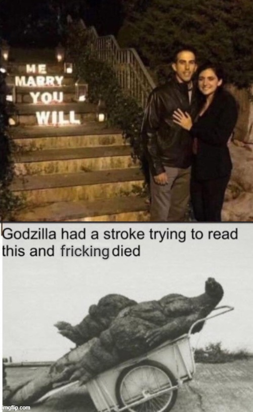 what a terrible order | image tagged in godzilla had a stroke trying to read this and fricking died | made w/ Imgflip meme maker