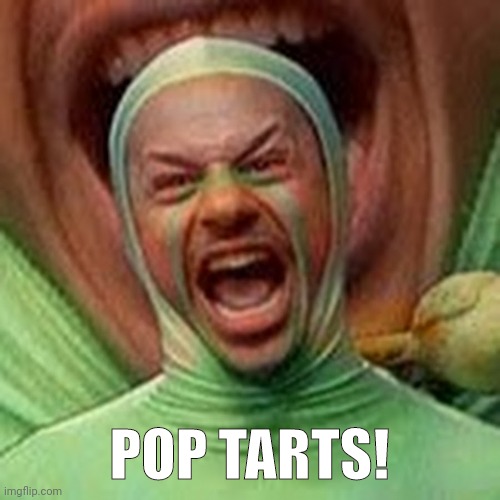 POP TARTS | POP TARTS! | image tagged in pop tarts | made w/ Imgflip meme maker