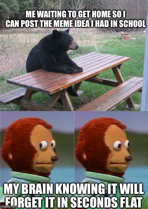 What was I going to post again | ME WAITING TO GET HOME SO I CAN POST THE MEME IDEA I HAD IN SCHOOL; MY BRAIN KNOWING IT WILL FORGET IT IN SECONDS FLAT | image tagged in patient bear | made w/ Imgflip meme maker