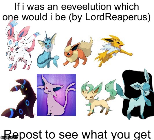 IDK | image tagged in why not | made w/ Imgflip meme maker