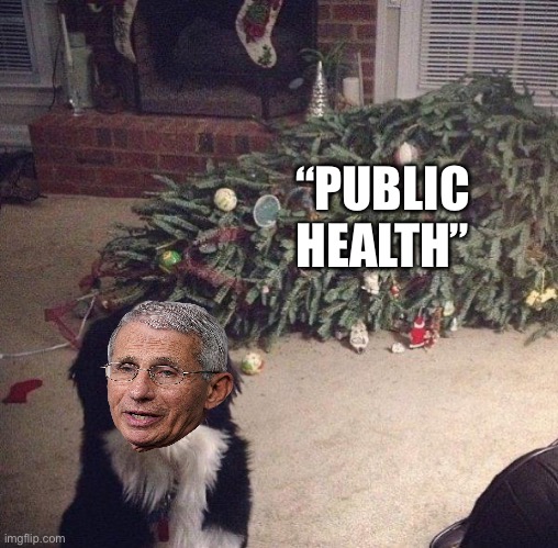 Public Health | “PUBLIC HEALTH” | image tagged in dog christmas tree,dr fauci,cdc | made w/ Imgflip meme maker