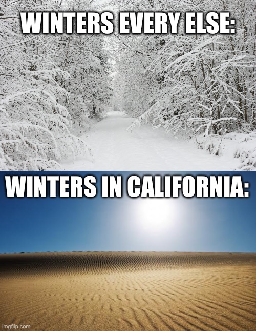 Smh |  WINTERS EVERY ELSE:; WINTERS IN CALIFORNIA: | image tagged in snowy forest,desert | made w/ Imgflip meme maker