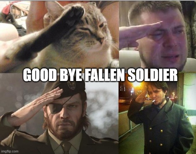 Ozon's Salute | GOOD BYE FALLEN SOLDIER | image tagged in ozon's salute | made w/ Imgflip meme maker