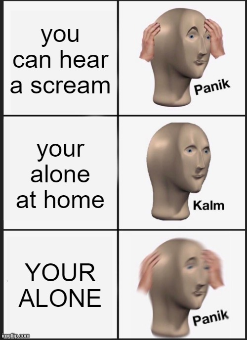 Your alone | you can hear a scream; your alone at home; YOUR ALONE | image tagged in memes,panik kalm panik,home alone,fun,gaming,trending | made w/ Imgflip meme maker