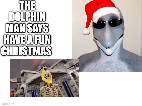 Yes | THE DOLPHIN MAN SAYS HAVE A FUN CHRISTMAS | image tagged in yes | made w/ Imgflip meme maker