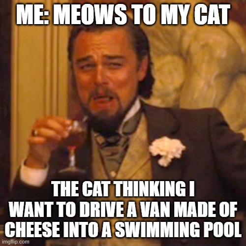 I don't have a cat :[ | ME: MEOWS TO MY CAT; THE CAT THINKING I WANT TO DRIVE A VAN MADE OF CHEESE INTO A SWIMMING POOL | image tagged in memes,laughing leo | made w/ Imgflip meme maker