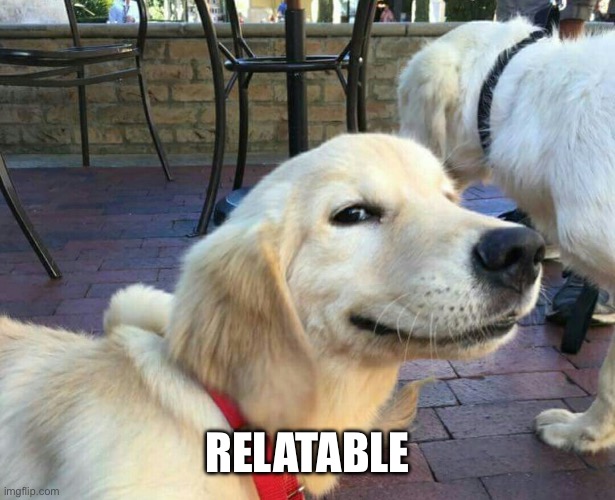 good boy dog | RELATABLE | image tagged in good boy dog | made w/ Imgflip meme maker