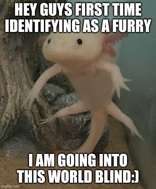 Hello yey | HEY GUYS FIRST TIME IDENTIFYING AS A FURRY; I AM GOING INTO THIS WORLD BLIND:) | image tagged in furry,axolotl | made w/ Imgflip meme maker