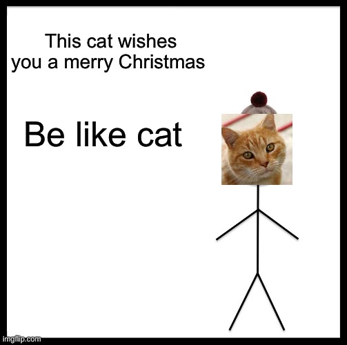 Yes | This cat wishes you a merry Christmas; Be like cat | image tagged in memes,be like bill | made w/ Imgflip meme maker