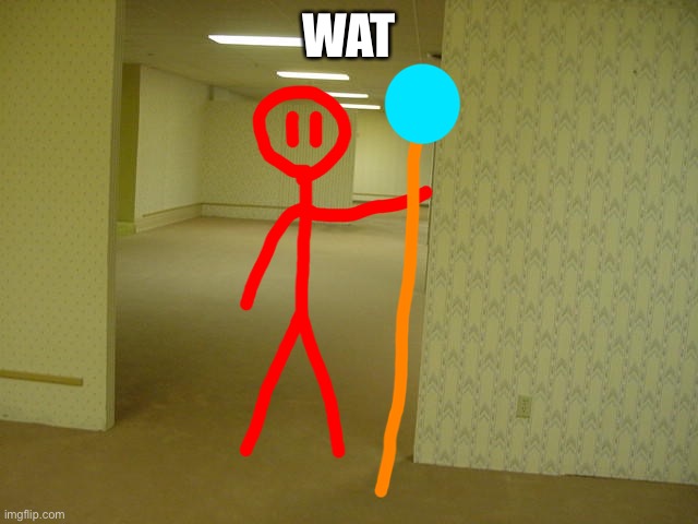 WAT | made w/ Imgflip meme maker