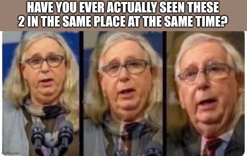 HAVE YOU EVER ACTUALLY SEEN THESE 2 IN THE SAME PLACE AT THE SAME TIME? | image tagged in funny memes | made w/ Imgflip meme maker