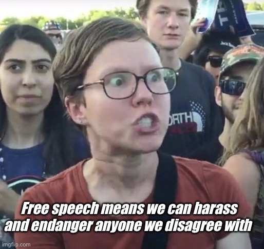 Elon has em spinning. | Free speech means we can harass and endanger anyone we disagree with | image tagged in triggered feminist,politics lol,memes | made w/ Imgflip meme maker