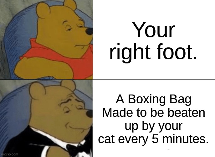 ikr | Your right foot. A Boxing Bag Made to be beaten up by your cat every 5 minutes. | image tagged in memes,tuxedo winnie the pooh,lolcats,certified bruh moment,so true memes | made w/ Imgflip meme maker