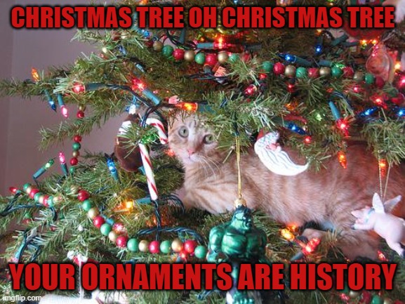 Cat no Tree Imgflip