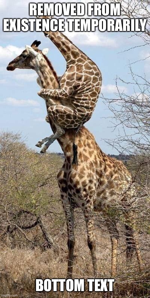 Funny Giraffe | REMOVED FROM EXISTENCE TEMPORARILY BOTTOM TEXT | image tagged in funny giraffe | made w/ Imgflip meme maker