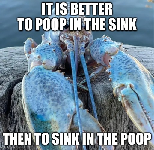 IDK | IT IS BETTER TO POOP IN THE SINK; THEN TO SINK IN THE POOP | image tagged in the blue lobster | made w/ Imgflip meme maker
