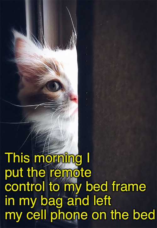 This morning I put the remote control to my bed frame in my bag and left my cell phone on the bed | made w/ Imgflip meme maker