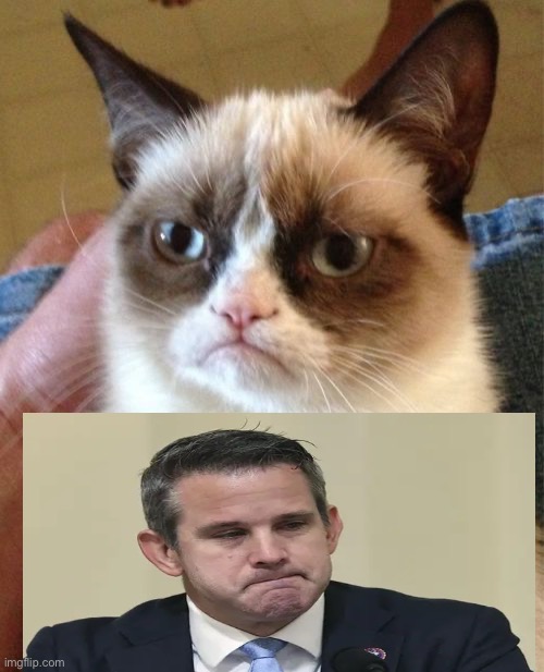 Grumpy Cat Meme | image tagged in memes,grumpy cat | made w/ Imgflip meme maker