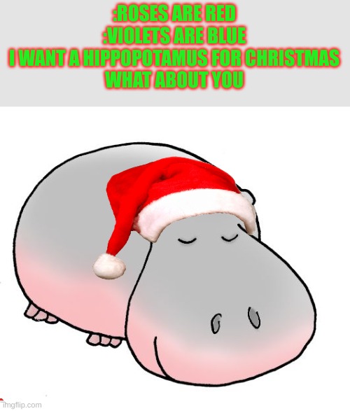 Christmas is the best season | :ROSES ARE RED
:VIOLETS ARE BLUE

I WANT A HIPPOPOTAMUS FOR CHRISTMAS
WHAT ABOUT YOU | image tagged in hippopotamus,fun | made w/ Imgflip meme maker