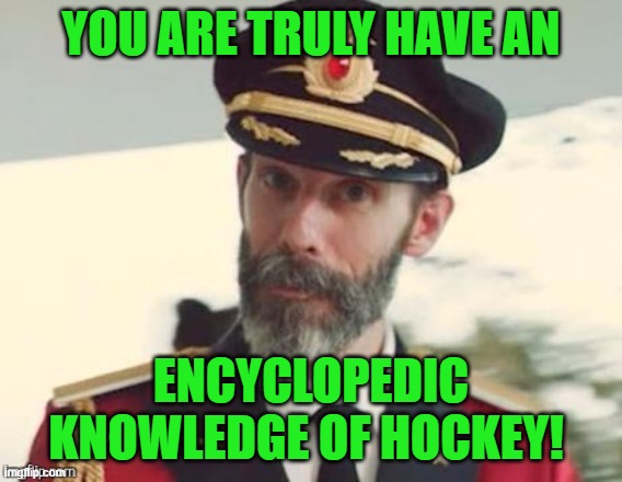 Capt Obvious  | YOU ARE TRULY HAVE AN ENCYCLOPEDIC KNOWLEDGE OF HOCKEY! | image tagged in capt obvious | made w/ Imgflip meme maker