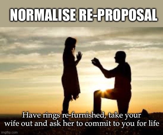Re-proposal | NORMALISE RE-PROPOSAL; Have rings re-furnished, take your wife out and ask her to commit to you for life | image tagged in proposal,wife,wifey,life | made w/ Imgflip meme maker