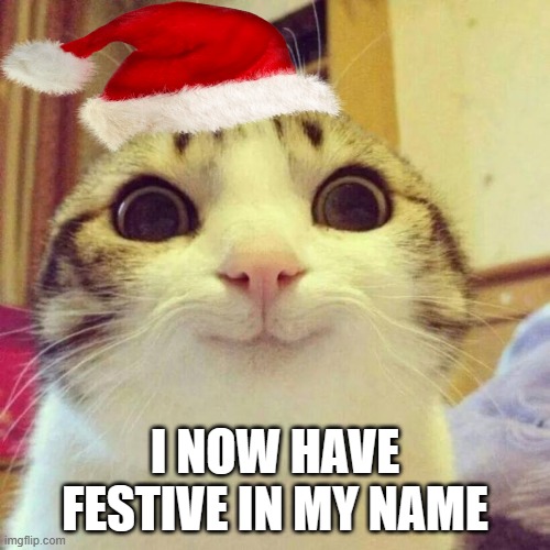 Festive in name :) | I NOW HAVE FESTIVE IN MY NAME | image tagged in memes,smiling cat,festive,christmas,xmas | made w/ Imgflip meme maker