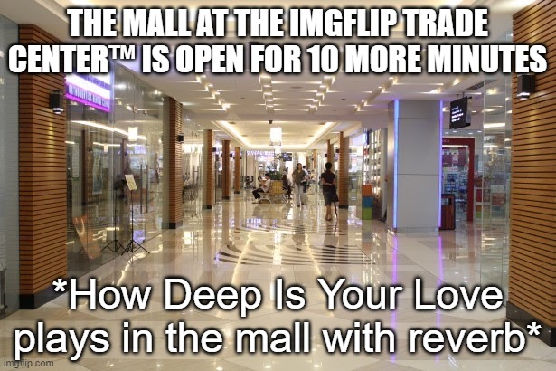 THE MALL AT THE IMGFLIP TRADE CENTER™ IS OPEN FOR 10 MORE MINUTES; *How Deep Is Your Love plays in the mall with reverb* | made w/ Imgflip meme maker