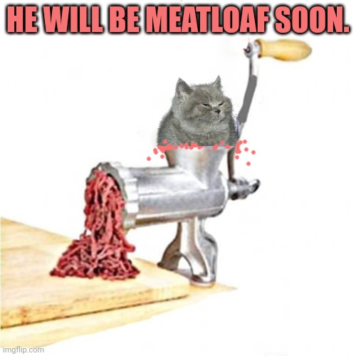 Stop it. Get some help | HE WILL BE MEATLOAF SOON. | image tagged in nom nom nom,meatloaf,cat,meat | made w/ Imgflip meme maker