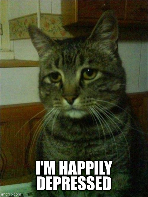 Depressed Cat Meme | I'M HAPPILY DEPRESSED | image tagged in memes,depressed cat | made w/ Imgflip meme maker