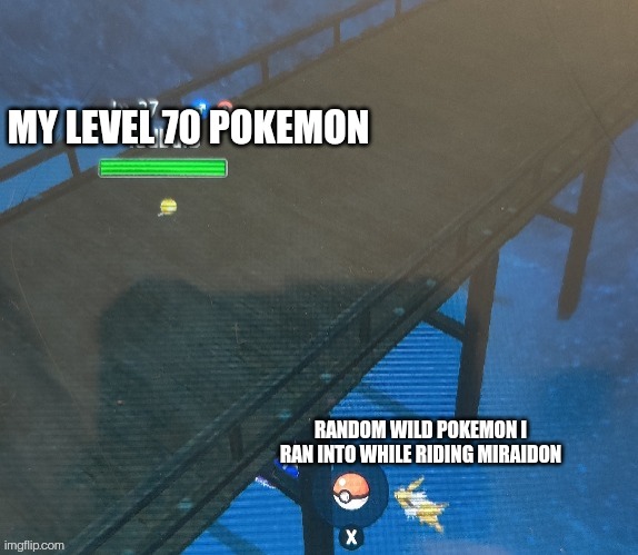 Tadbulb high ground | MY LEVEL 70 POKEMON; RANDOM WILD POKEMON I RAN INTO WHILE RIDING MIRAIDON | image tagged in tadbulb high ground | made w/ Imgflip meme maker