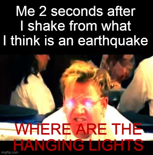 Is it just me or is that a normal thing ? | Me 2 seconds after I shake from what I think is an earthquake; WHERE ARE THE HANGING LIGHTS | image tagged in where's the lamb sauce,earth,earthquake,light,me irl | made w/ Imgflip meme maker