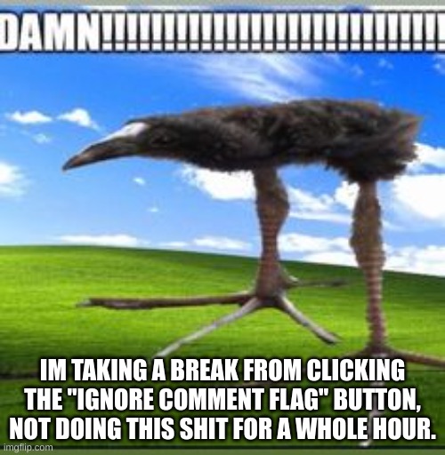 damn | IM TAKING A BREAK FROM CLICKING THE "IGNORE COMMENT FLAG" BUTTON, NOT DOING THIS SHIT FOR A WHOLE HOUR. | image tagged in damn | made w/ Imgflip meme maker