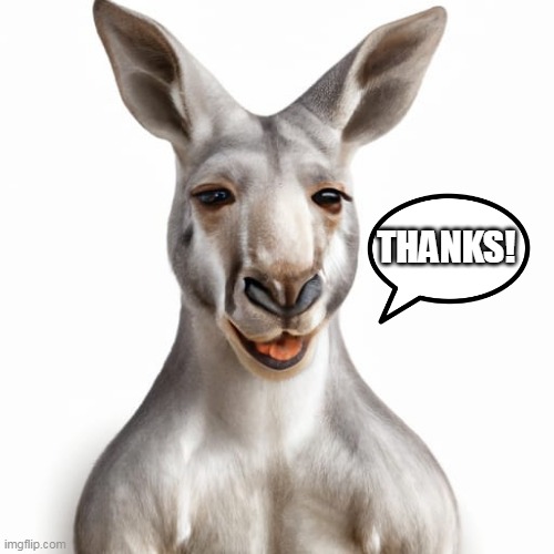 Roo thanks | THANKS! | image tagged in kangaroo | made w/ Imgflip meme maker