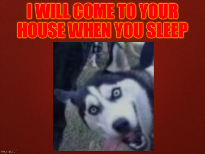 I will come to your house when you sleep | I WILL COME TO YOUR HOUSE WHEN YOU SLEEP | image tagged in dogs | made w/ Imgflip meme maker