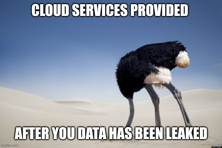 Cloud services provided hands off approach to data leaks | CLOUD SERVICES PROVIDED; AFTER YOU DATA HAS BEEN LEAKED | image tagged in ostrich head in sand | made w/ Imgflip meme maker